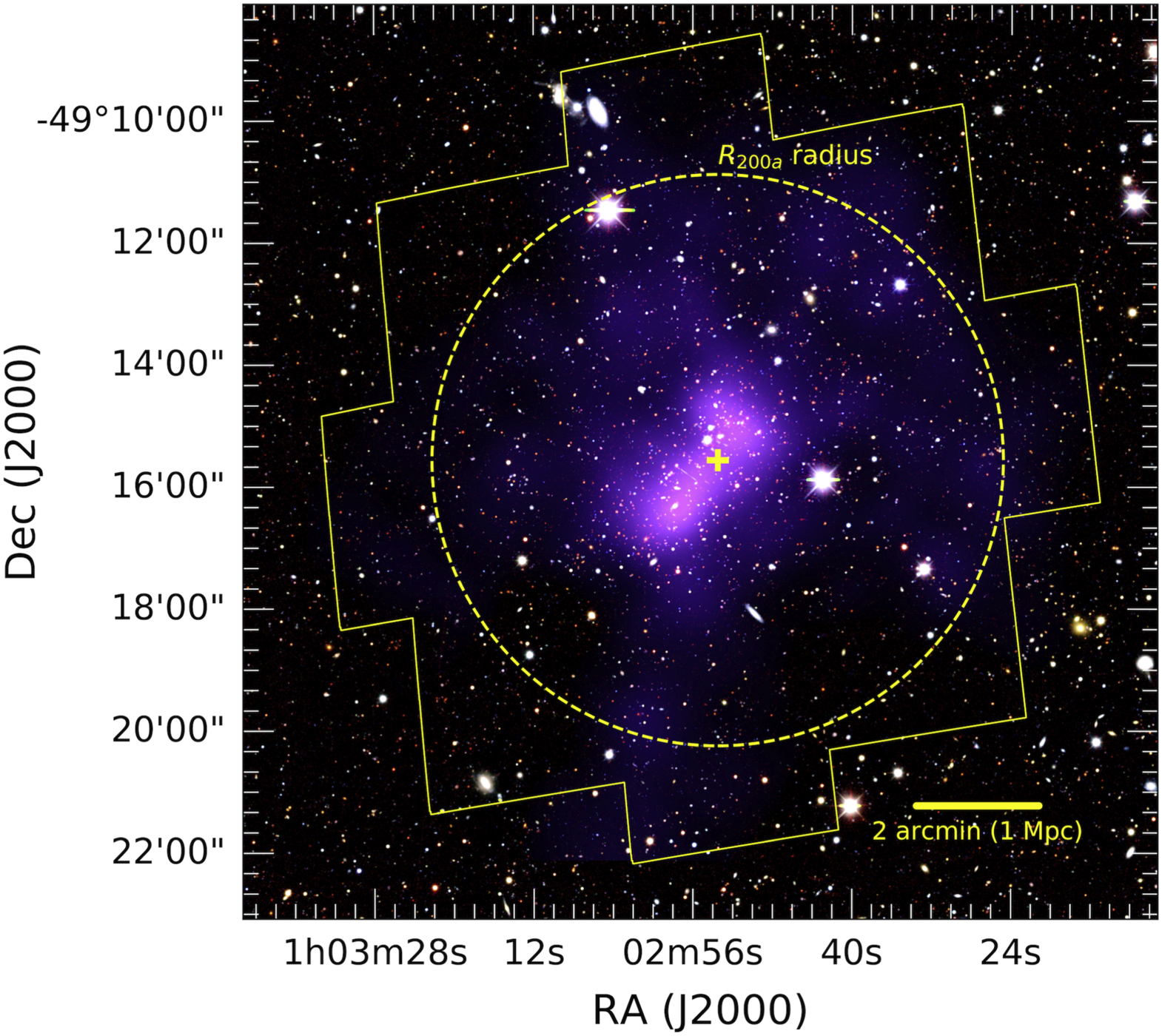 その他 APOLLO GAL LEOPARD ver その他 APOLLO GAL LEOPARD ver その他 APOLLO GAL LEOPARD ver