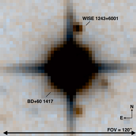 Figure 1. Refer to the following caption and surrounding text.