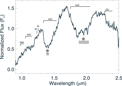 Figure 2. Refer to the following caption and surrounding text.
