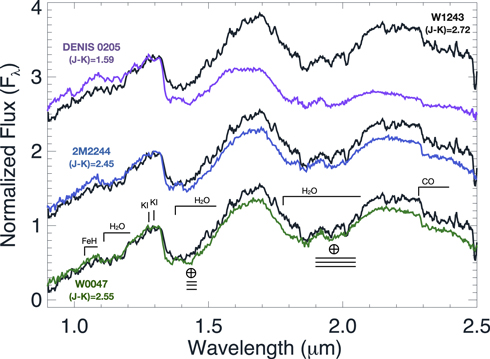 Figure 3. Refer to the following caption and surrounding text.
