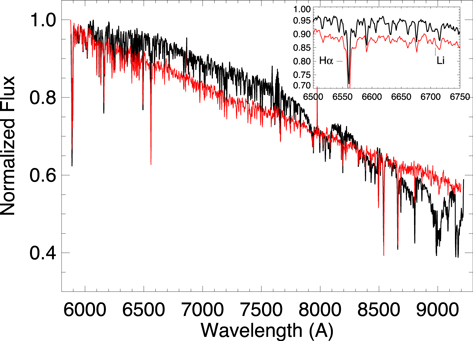 Figure 6. Refer to the following caption and surrounding text.