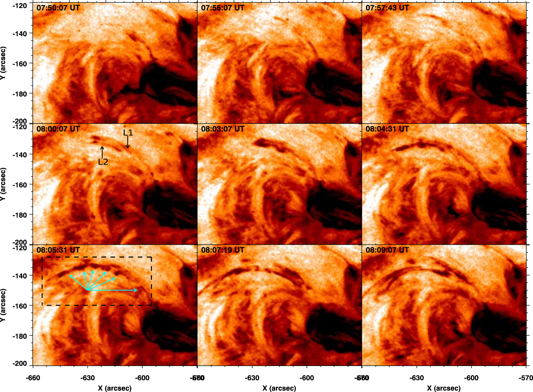 Evolution of Kelvin–Helmholtz Instability in the Fan-spine Topology ...