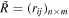 $\tilde{R}={\left({r}_{{ij}}\right)}_{n\times m}$