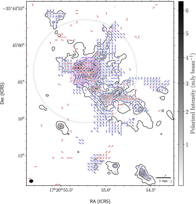Figure 10. Refer to the following caption and surrounding text.