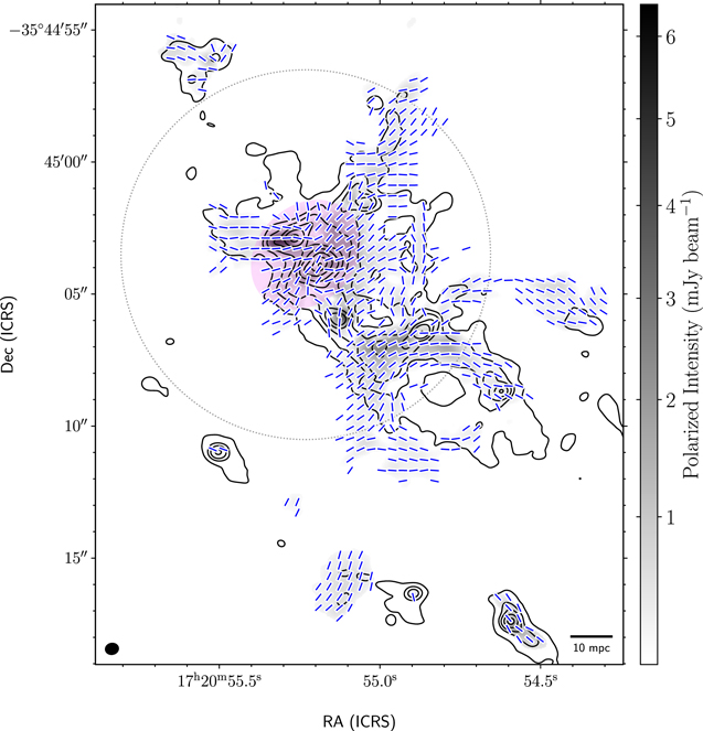 Figure 2. Refer to the following caption and surrounding text.