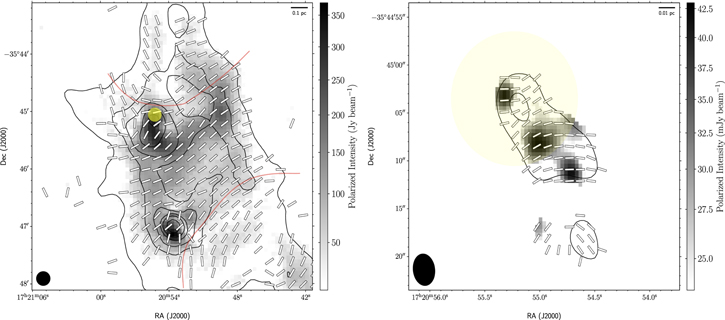 Figure 3. Refer to the following caption and surrounding text.