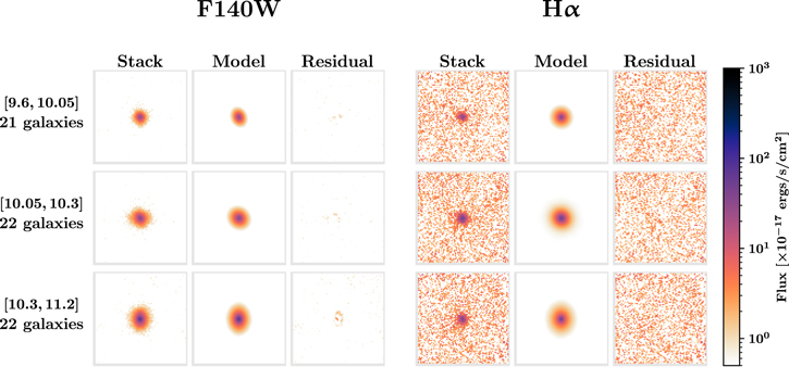 Figure 3. Refer to the following caption and surrounding text.