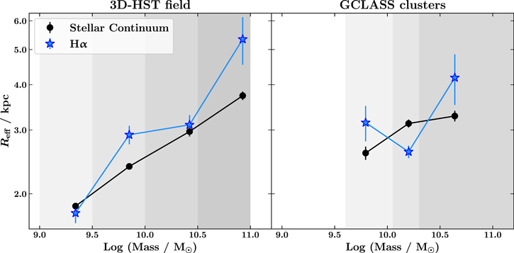 Figure 4. Refer to the following caption and surrounding text.