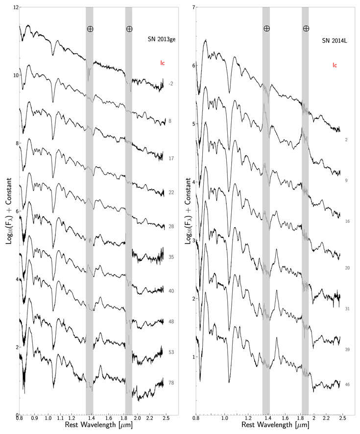 Figure 2. Refer to the following caption and surrounding text.