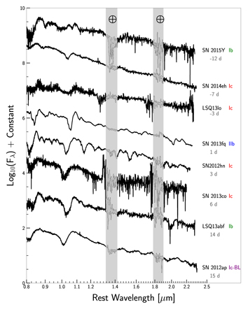 Figure 4. Refer to the following caption and surrounding text.