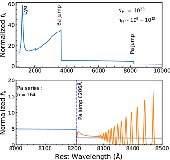 Figure 1. Refer to the following caption and surrounding text.