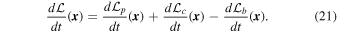 Equation (21)