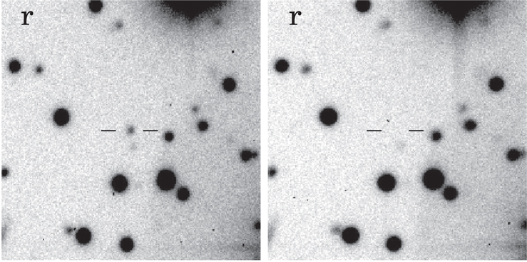 Figure 4. Refer to the following caption and surrounding text.