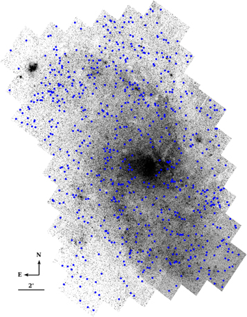 Figure 3. Refer to the following caption and surrounding text.