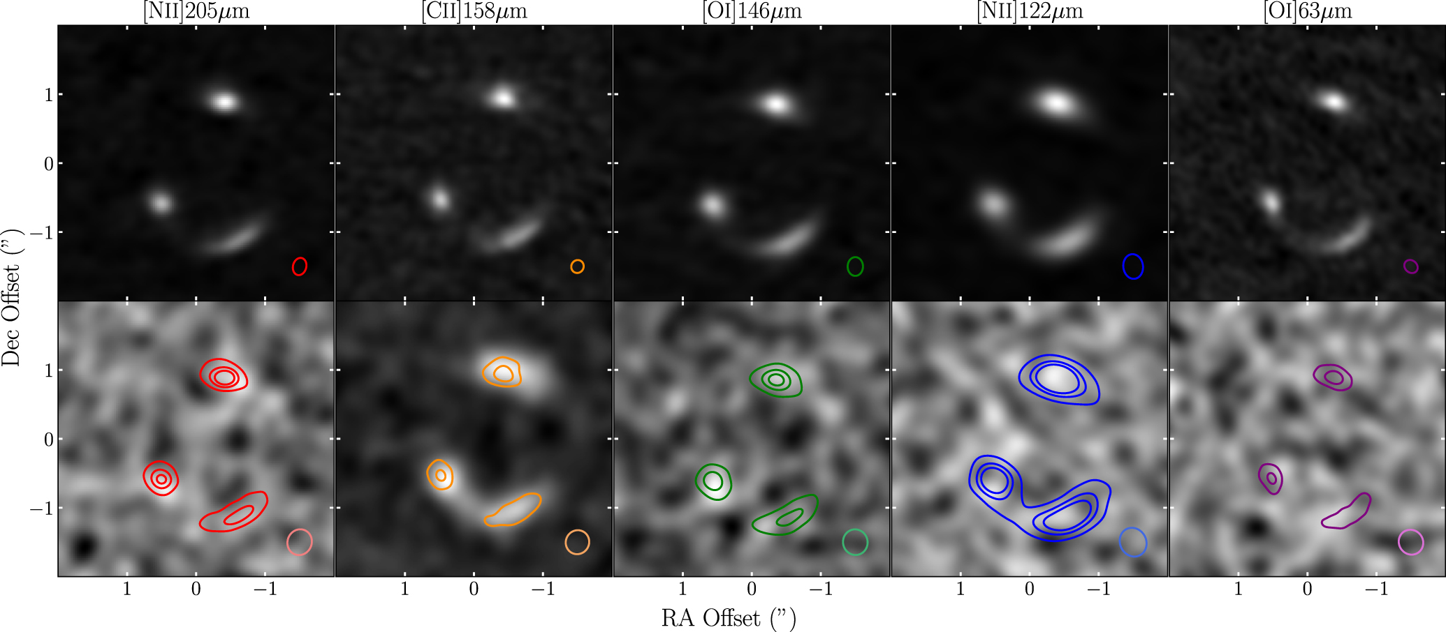 Multiphase ISM in the z = 5.7 Hyperluminous Starburst SPT