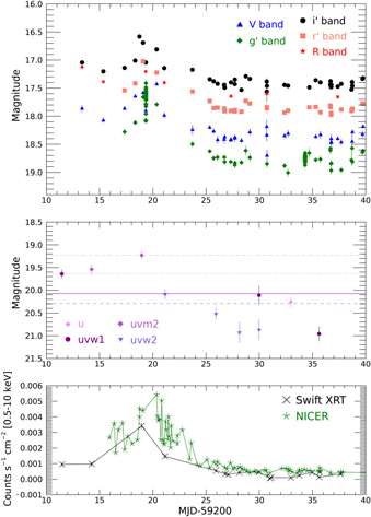 Figure 2. Refer to the following caption and surrounding text.