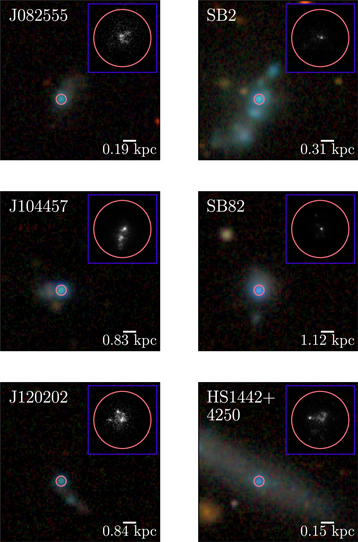 Figure 1. Refer to the following caption and surrounding text.