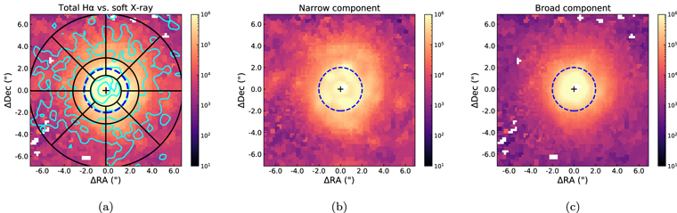 Figure 4. Refer to the following caption and surrounding text.