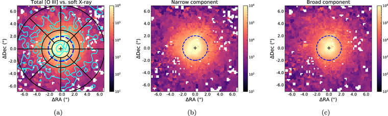 Figure 5. Refer to the following caption and surrounding text.