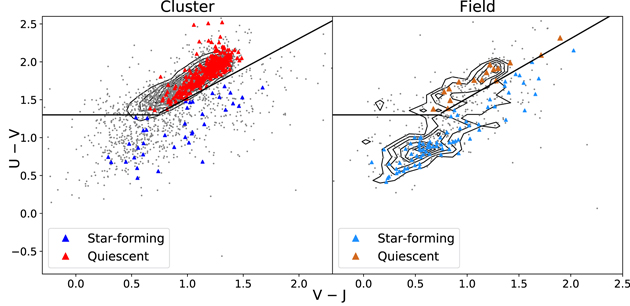 Figure 3. Refer to the following caption and surrounding text.