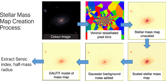 Figure 4. Refer to the following caption and surrounding text.