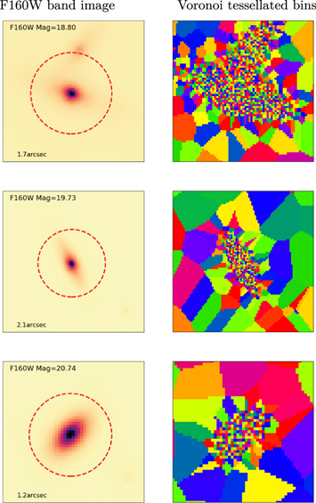 Figure 5. Refer to the following caption and surrounding text.
