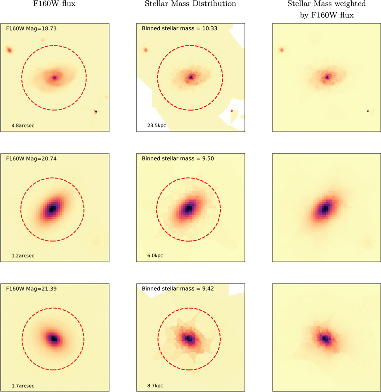 Figure 6. Refer to the following caption and surrounding text.