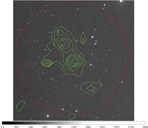 Figure 1. Refer to the following caption and surrounding text.