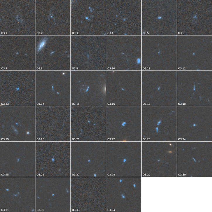 Figure 3. Refer to the following caption and surrounding text.