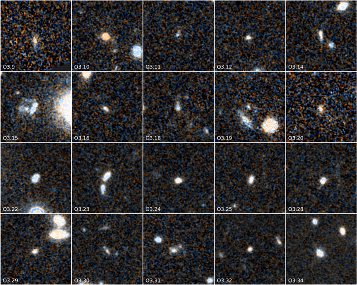 Figure 4. Refer to the following caption and surrounding text.