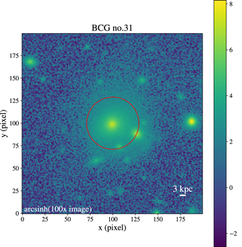 Figure 19. Refer to the following caption and surrounding text.