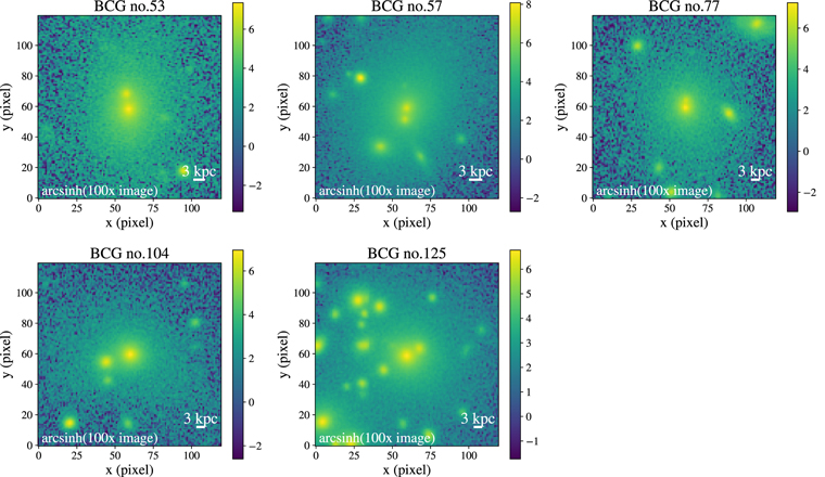 Figure 3. Refer to the following caption and surrounding text.