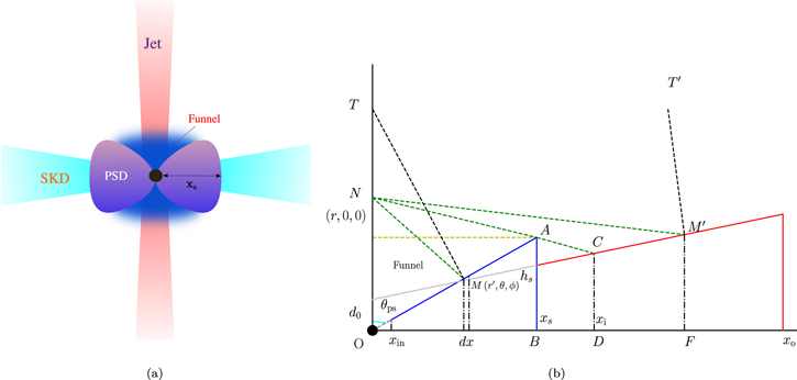 Figure 1. Refer to the following caption and surrounding text.