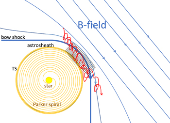 Figure 5. Refer to the following caption and surrounding text.