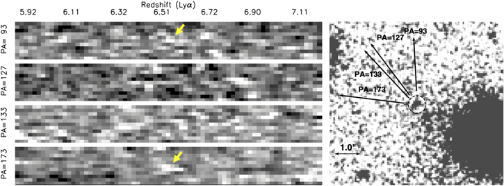 Figure 6. Refer to the following caption and surrounding text.