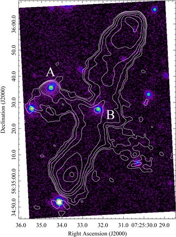 Figure 1. Refer to the following caption and surrounding text.