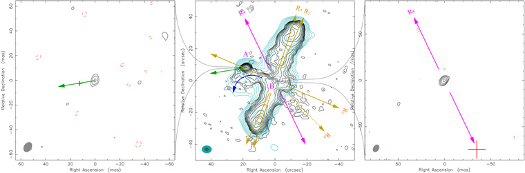 Figure 2. Refer to the following caption and surrounding text.
