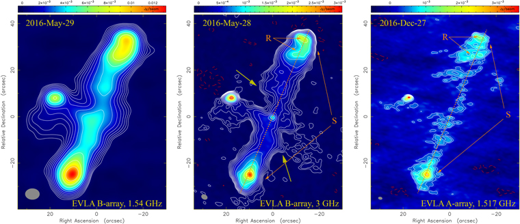 Figure 3. Refer to the following caption and surrounding text.