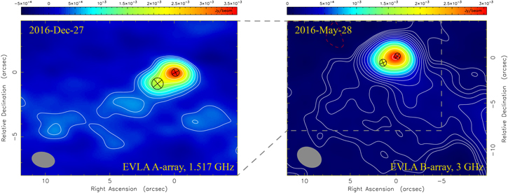 Figure 4. Refer to the following caption and surrounding text.