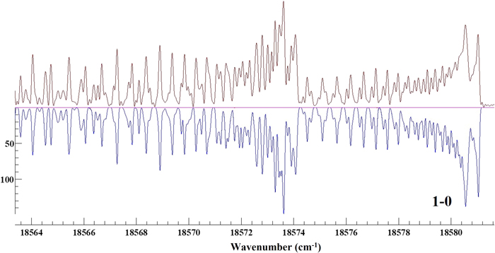 Figure 2. Refer to the following caption and surrounding text.