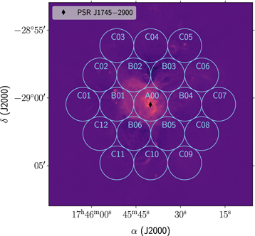 Figure 1. Refer to the following caption and surrounding text.