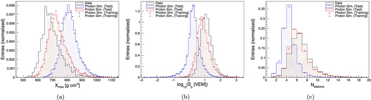 Figure 2. Refer to the following caption and surrounding text.