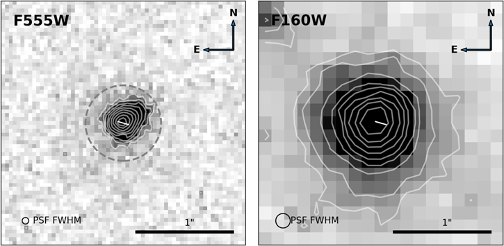 Figure 3. Refer to the following caption and surrounding text.