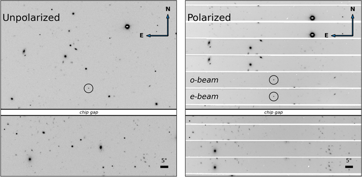 Figure 4. Refer to the following caption and surrounding text.