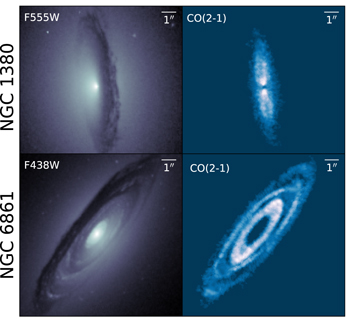 Figure 1. Refer to the following caption and surrounding text.