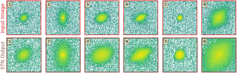 Figure 4. Refer to the following caption and surrounding text.