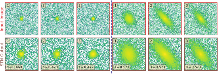 Figure 5. Refer to the following caption and surrounding text.