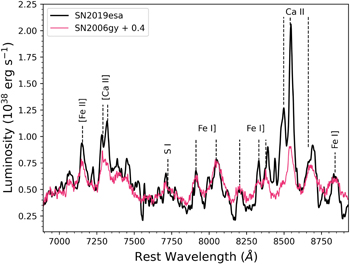 Figure 11. Refer to the following caption and surrounding text.