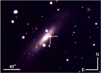 Figure 1. Refer to the following caption and surrounding text.