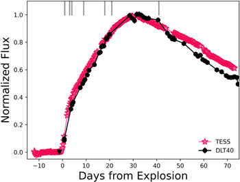 Figure 3. Refer to the following caption and surrounding text.